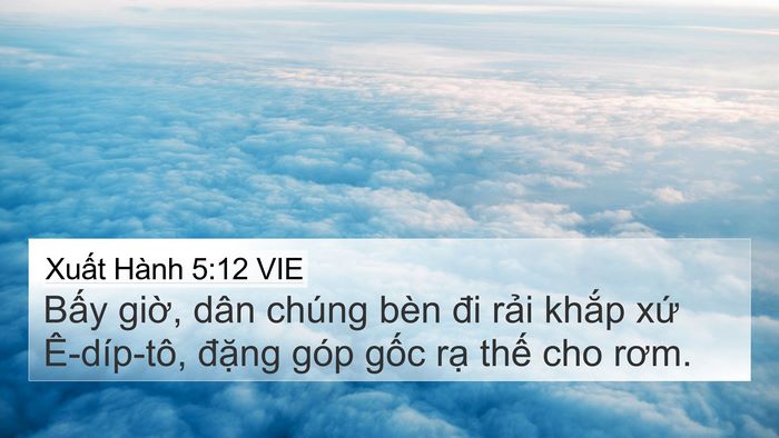 Xuất Hành 5:12 VIE 4K Wallpaper - Bấy giờ, dân chúng bèn đi rải khắp - 4K Wallpaper Bible Verse