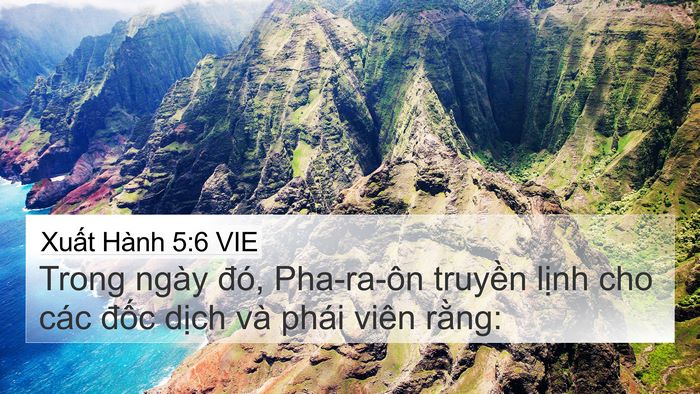 Xuất Hành 5:6 VIE Bible Verse Image