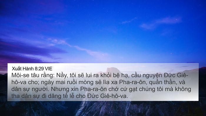 Xuất Hành 8:29 VIE Bible Verse Image