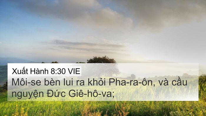 Xuất Hành 8:30 VIE Bible Verse Image