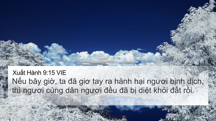 Xuất Hành 9:15 VIE Bible Verse Image