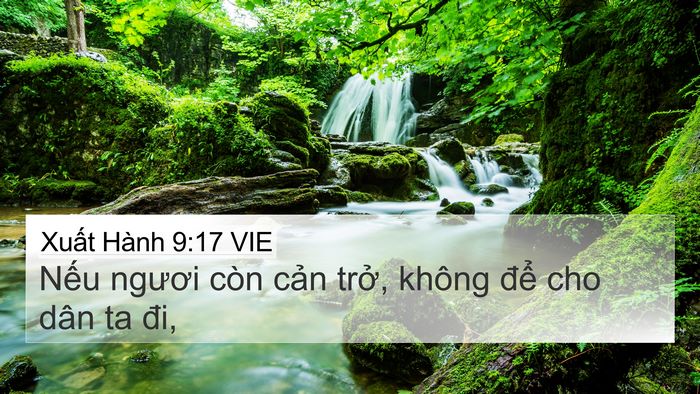 Xuất Hành 9:17 VIE Bible Verse Image