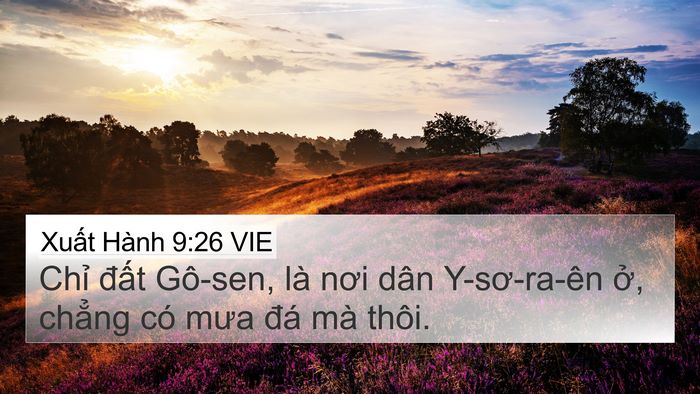 Xuất Hành 9:26 VIE Bible Verse Image