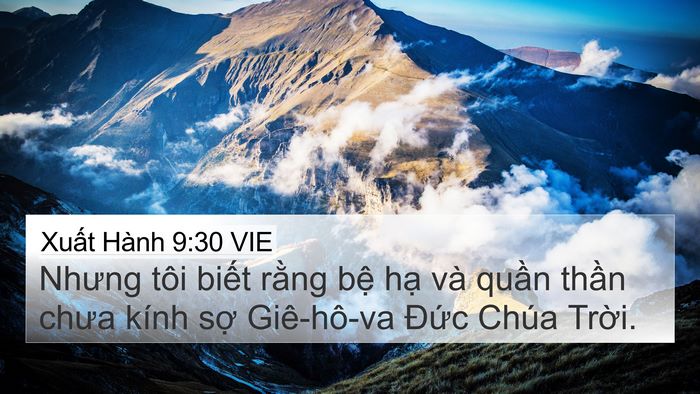 Xuất Hành 9:30 VIE 4K Wallpaper - Nhưng tôi biết rằng bệ hạ và quần - 4K Wallpaper Bible Verse