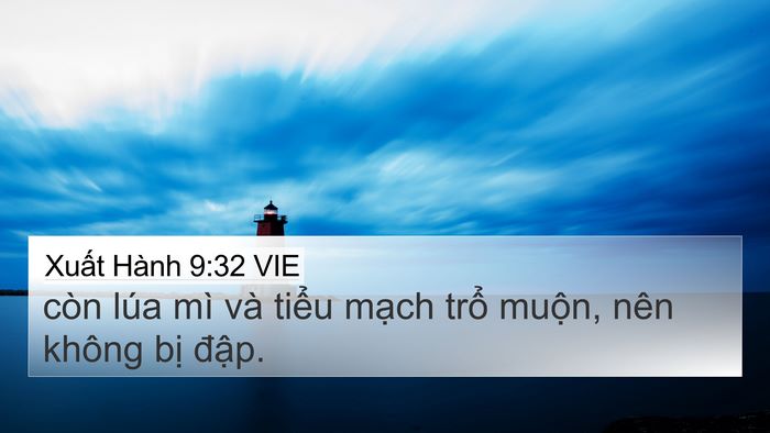 Xuất Hành 9:32 VIE Bible Verse Image