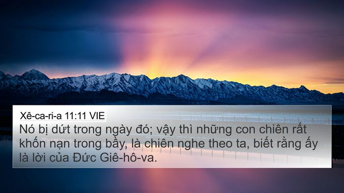 Xê-ca-ri-a 11:11 VIE Bible Verse Image