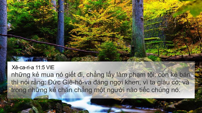 Xê-ca-ri-a 11:5 VIE Bible Verse Image
