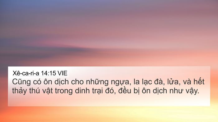 Xê-ca-ri-a 14:15 VIE Bible Verse Image