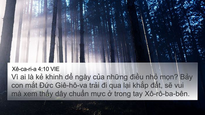 Xê-ca-ri-a 4:10 VIE Bible Verse Image