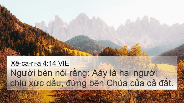 Xê-ca-ri-a 4:14 VIE Bible Verse Image