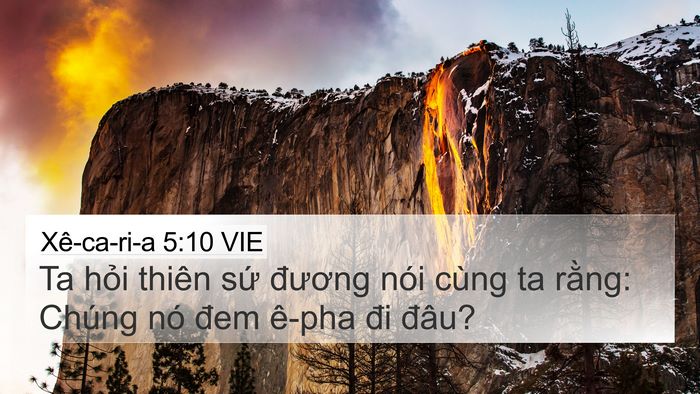 Xê-ca-ri-a 5:10 VIE Bible Verse Image
