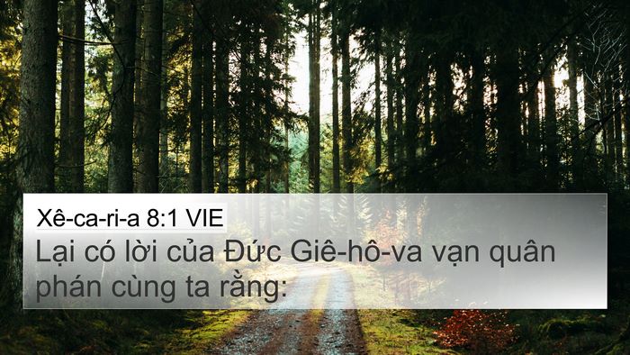 Xê-ca-ri-a 8:1 VIE 4K Wallpaper - Lại có lời của Đức Giê-hô-va vạn - 4K Wallpaper Bible Verse