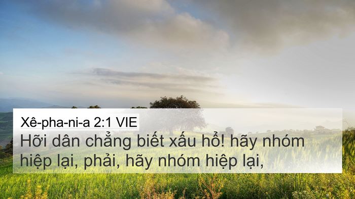 Xê-pha-ni-a 2:1 VIE Bible Verse Image