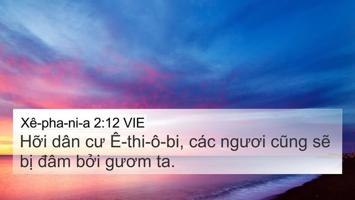 Xê-pha-ni-a 2:12 VIE 4K Wallpaper - Hỡi dân cư Ê-thi-ô-bi, các ngươi cũng - 4K Wallpaper Bible Verse