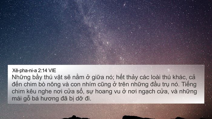 Xê-pha-ni-a 2:14 VIE 4K Wallpaper - Những bầy thú vật sẽ nằm ở giữa - 4K Wallpaper Bible Verse