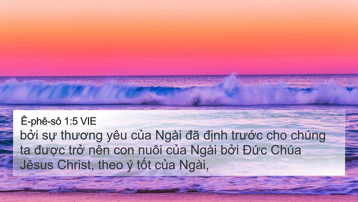 Ê-phê-sô 1:5 VIE Bible Verse Image