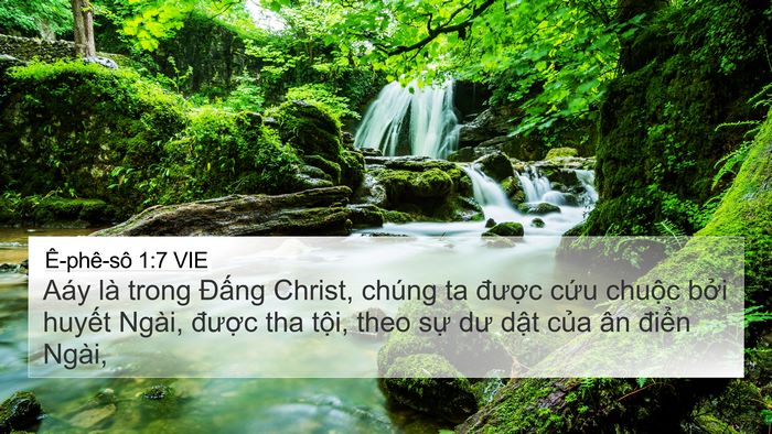 Ê-phê-sô 1:7 VIE Bible Verse Image