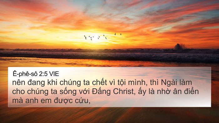 Ê-phê-sô 2:5 VIE Bible Verse Image
