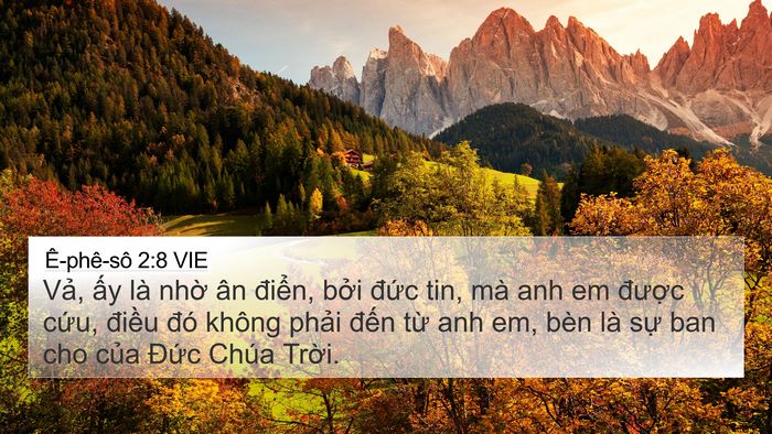 Ê-phê-sô 2:8 VIE Bible Verse Image