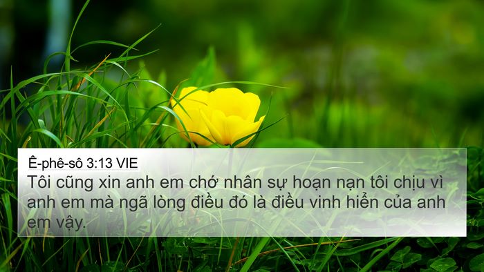 Ê-phê-sô 3:13 VIE Bible Verse Image
