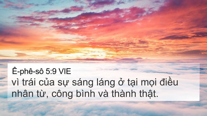 Ê-phê-sô 5:9 VIE Bible Verse Image