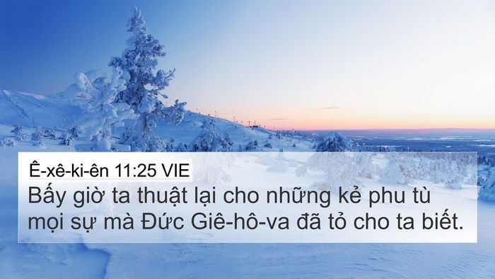 Ê-xê-ki-ên 11:25 VIE Bible Verse Image