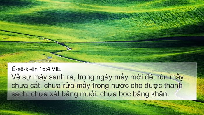 Ê-xê-ki-ên 16:4 VIE Bible Verse Image