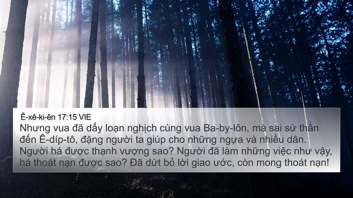 Ê-xê-ki-ên 17:15 VIE Bible Verse Image