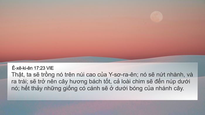 Ê-xê-ki-ên 17:23 VIE Bible Verse Image