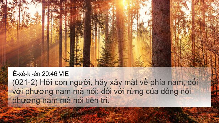 Ê-xê-ki-ên 20:46 VIE Bible Verse Image
