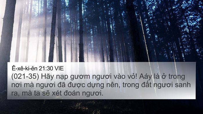 Ê-xê-ki-ên 21:30 VIE Bible Verse Image