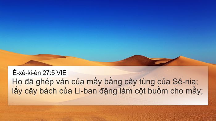 Ê-xê-ki-ên 27:5 VIE Bible Verse Image