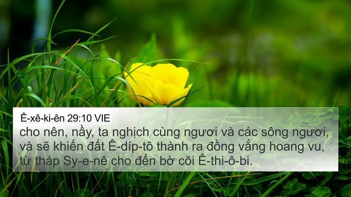 Ê-xê-ki-ên 29:10 VIE Bible Verse Image