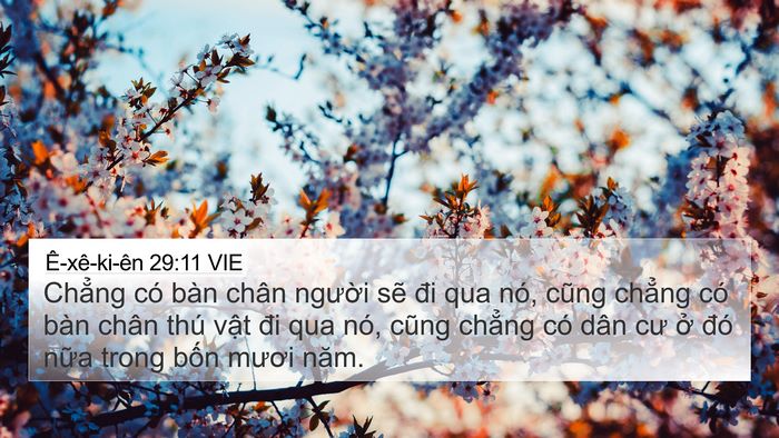 Ê-xê-ki-ên 29:11 VIE Bible Verse Image