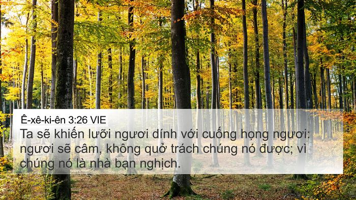 Ê-xê-ki-ên 3:26 VIE Bible Verse Image
