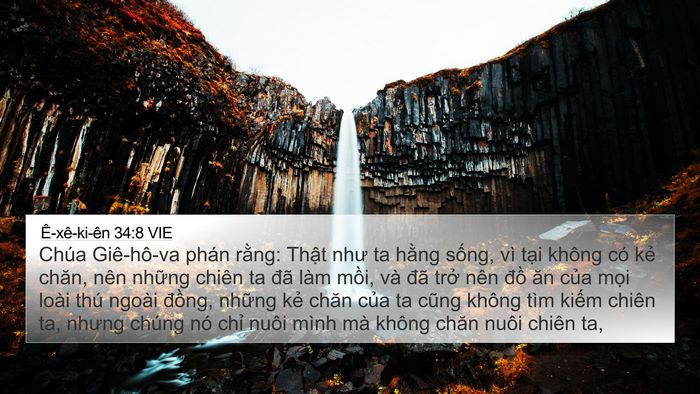 Ê-xê-ki-ên 34:8 VIE Bible Verse Image