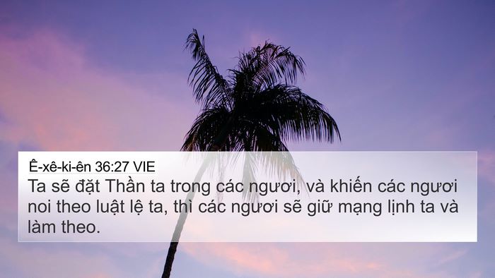 Ê-xê-ki-ên 36:27 VIE Bible Verse Image