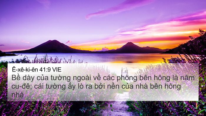 Ê-xê-ki-ên 41:9 VIE Bible Verse Image