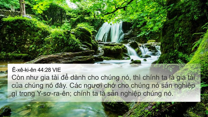 Ê-xê-ki-ên 44:28 VIE Bible Verse Image