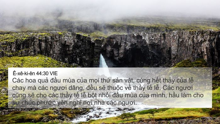 Ê-xê-ki-ên 44:30 VIE Bible Verse Image
