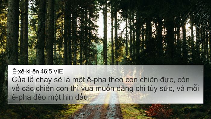 Ê-xê-ki-ên 46:5 VIE Bible Verse Image