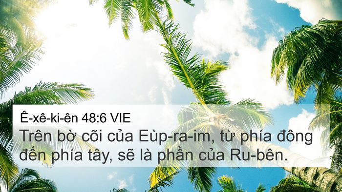 Ê-xê-ki-ên 48:6 VIE 4K Wallpaper - Trên bờ cõi của Eùp-ra-im, từ phía - 4K Wallpaper Bible Verse
