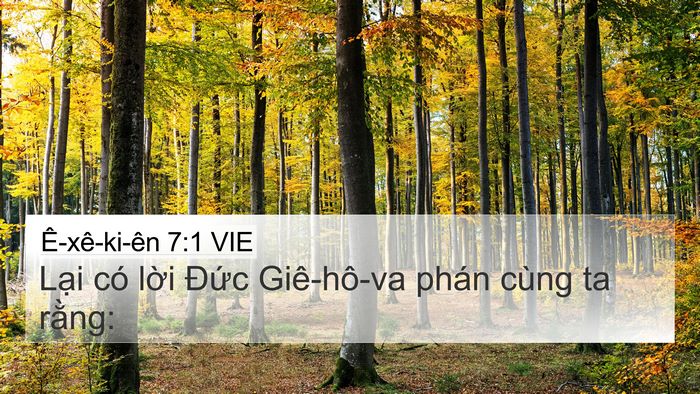 Ê-xê-ki-ên 7:1 VIE Bible Verse Image