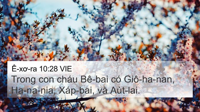 Ê-xơ-ra 10:28 VIE Bible Verse Image