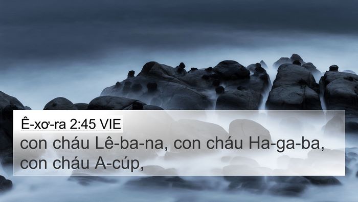 Ê-xơ-ra 2:45 VIE Bible Verse Image