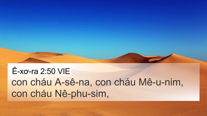 Ê-xơ-ra 2:50 VIE Bible Verse Image