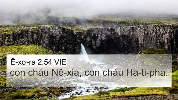 Ê-xơ-ra 2:54 VIE 4K Wallpaper - con cháu Nê-xia, con cháu - 4K Wallpaper Bible Verse