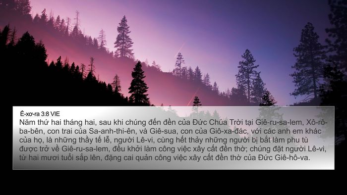 Ê-xơ-ra 3:8 VIE Bible Verse Image