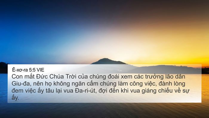 Ê-xơ-ra 5:5 VIE Bible Verse Image