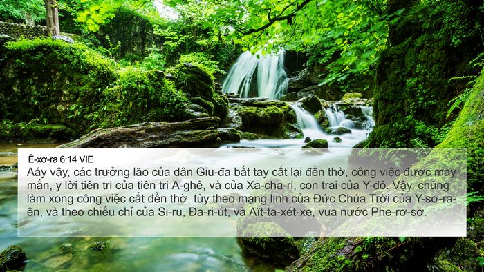 Ê-xơ-ra 6:14 VIE Bible Verse Image